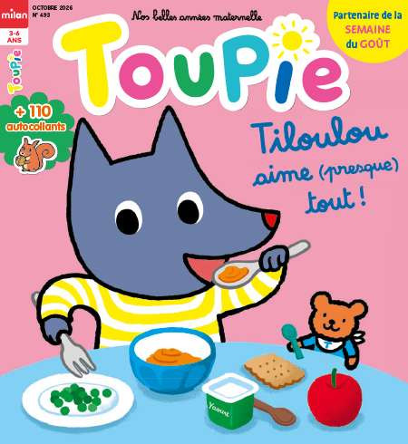 TOUPIE  