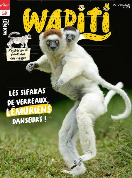 WAPITI  