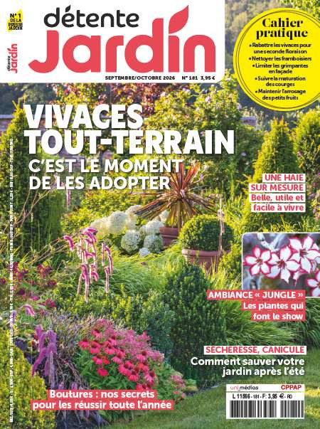 DETENTE JARDIN  