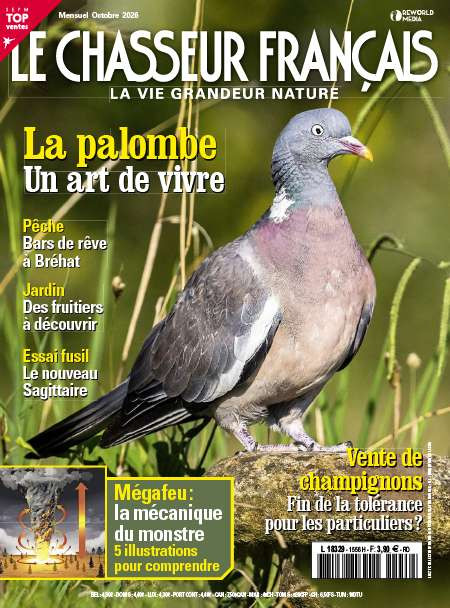 LE CHASSEUR FRANCAIS  