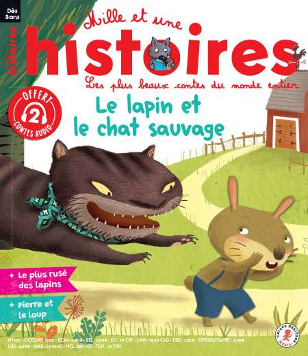 MILLE ET UNE HISTOIRES  