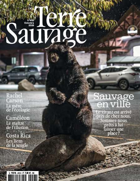 TERRE SAUVAGE  