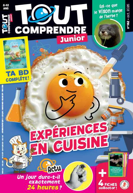 TOUT COMPRENDRE JUNIOR  
