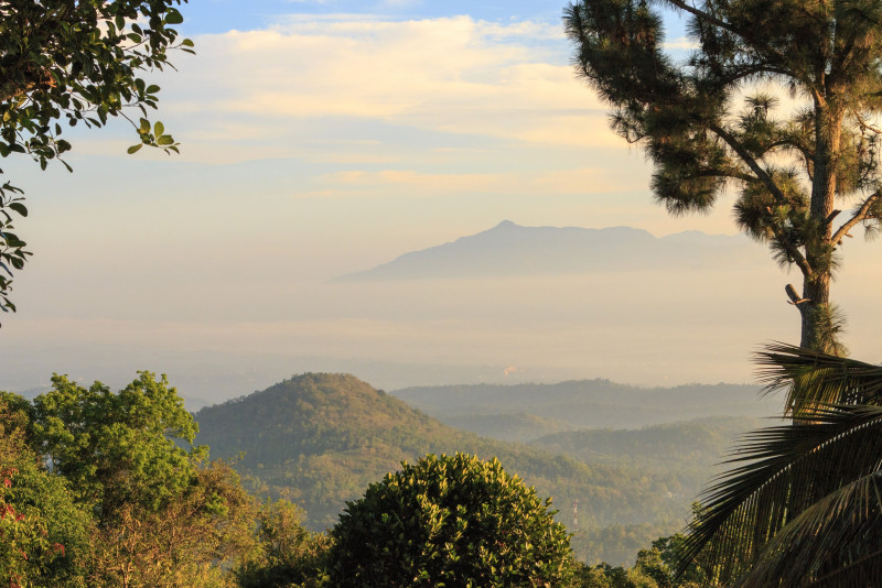 Trésors du Sri Lanka