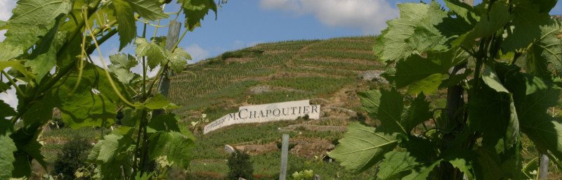 L'univers des vins d'exception