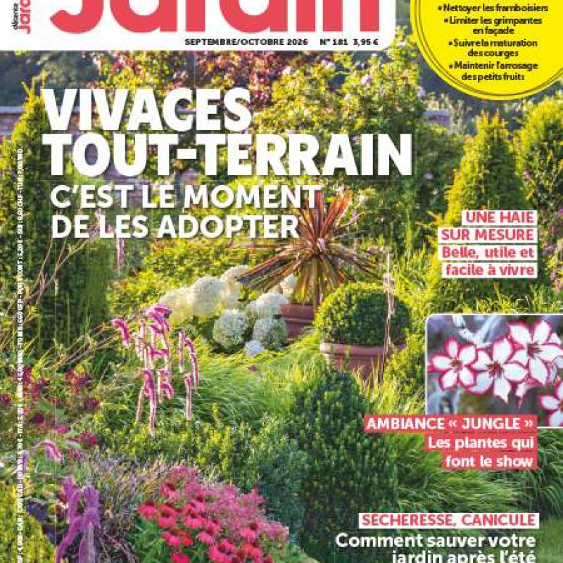DETENTE JARDIN 