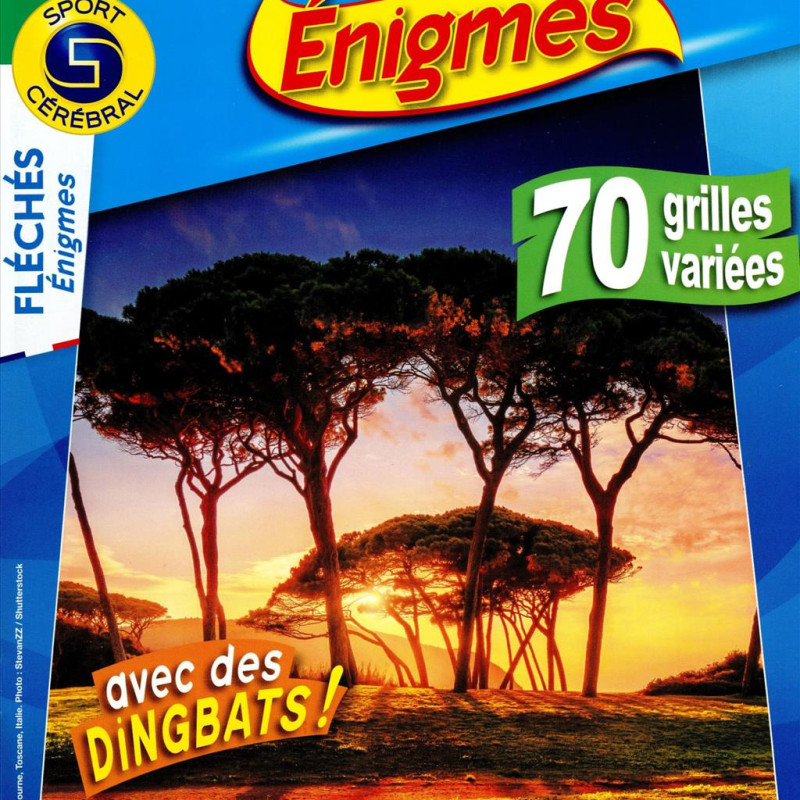 FLECHES ENIGMES 