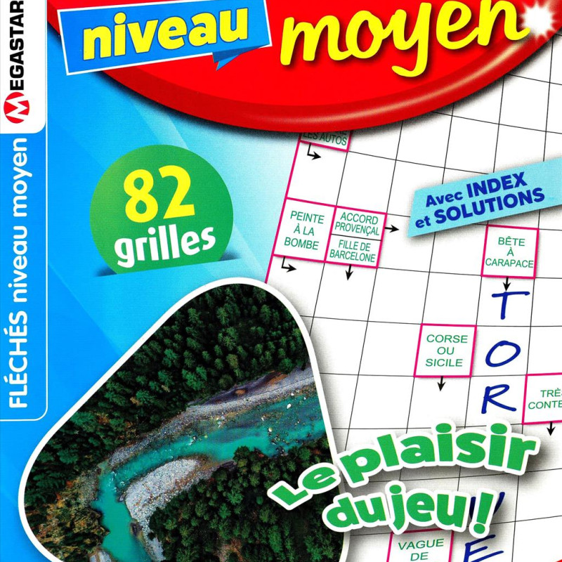 FLECHES NIVEAU 2-3 