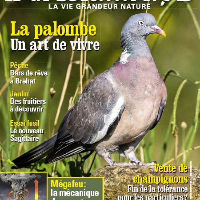LE CHASSEUR FRANCAIS 