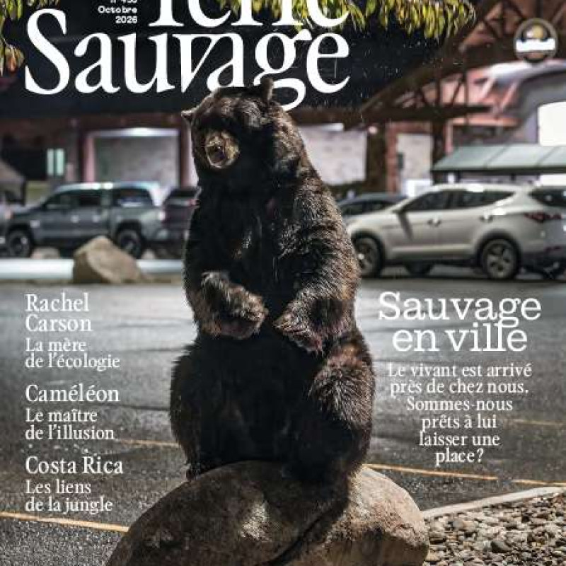TERRE SAUVAGE 