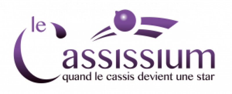 Cassissium